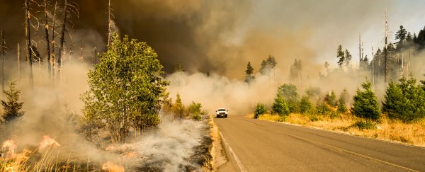 CO2 makes up just 0.04% of Earth's atmosphere. Here's why its impact is so massive