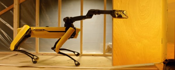 The world's most freakishly advanced robot dog is now for sale