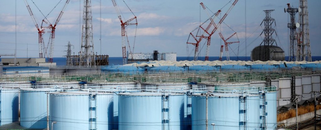 Dumping Fukushima's Radioactive Water Into Pacific Ocean Is 'Only Option', Japan Says - ScienceAlert