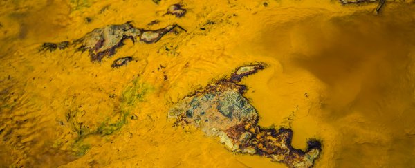 Controversial paper suggests we could just 'infect' Mars with life