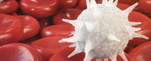 CRISPR-edited cells that block HIV last over a year without side effects, study shows