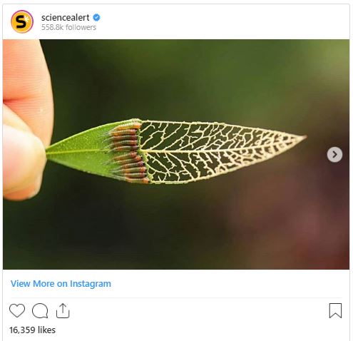 science insta image 11