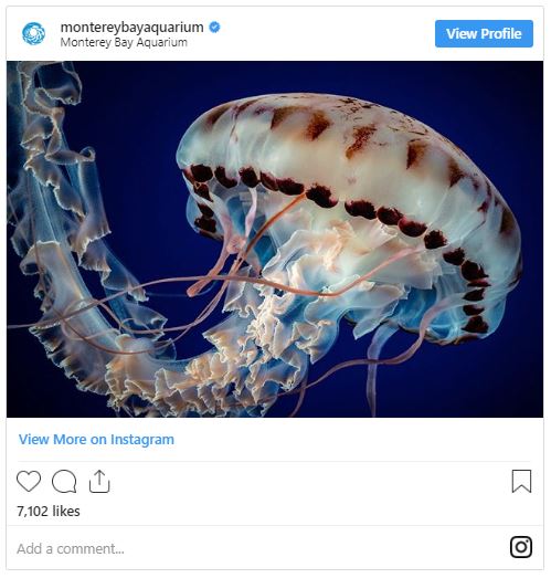 science insta image 2