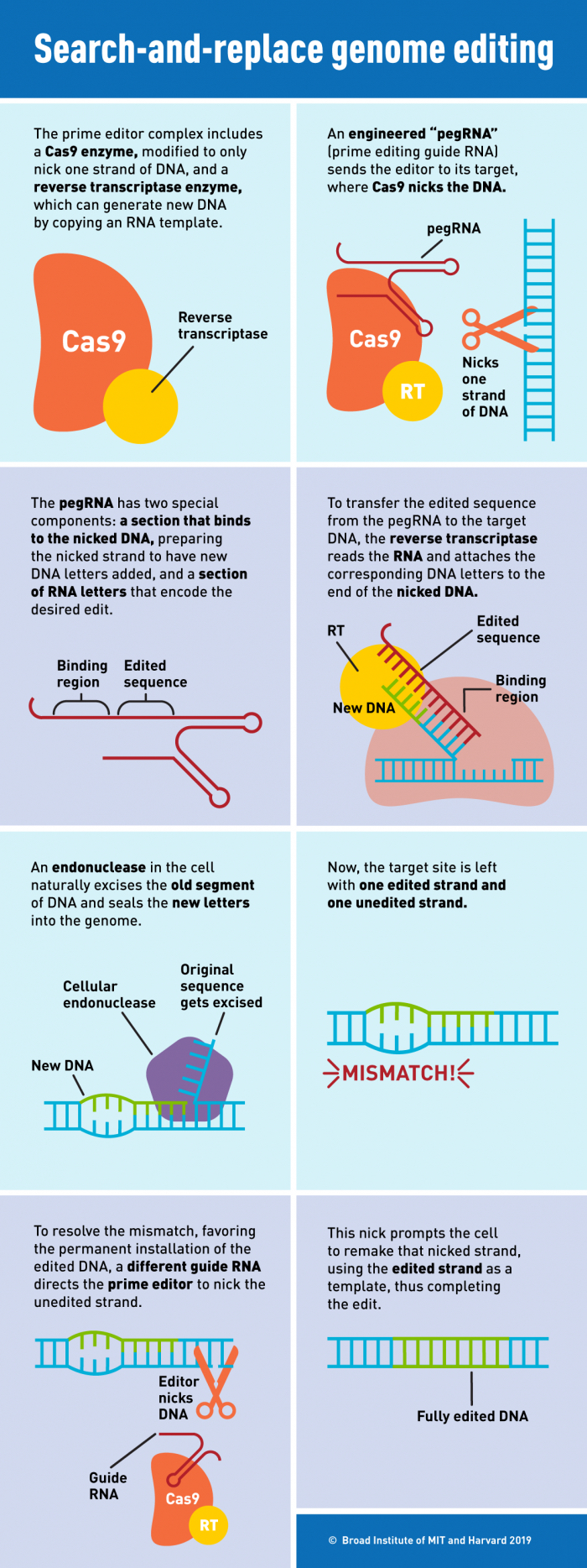 012 crispr upgrade prime editing 1