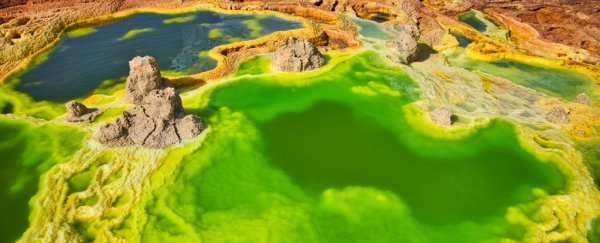 Scientists say they've found a place on Earth where no life can thrive