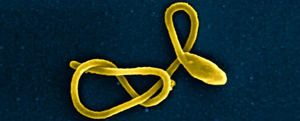 Japan imports Ebola and other deadly pathogens in the lead-up to Tokyo Olympics