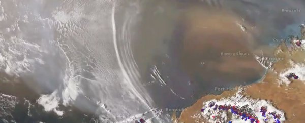 Rarely Seen Gravity Waves Captured Rippling in Earth's Atmosphere
