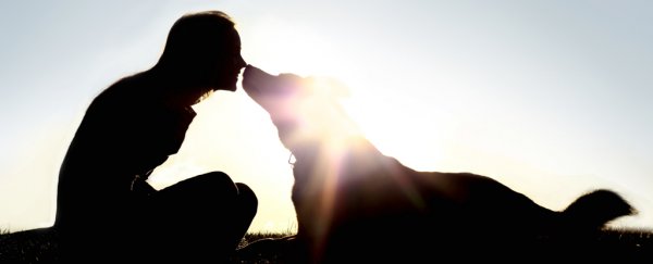 Owning a Dog Lowers Your Risk of Death if You've Had Heart Problems, Study Shows