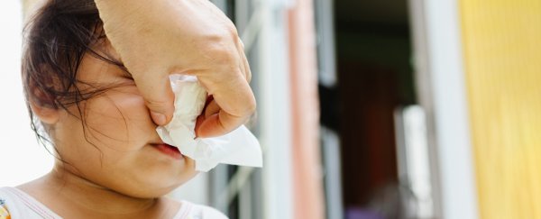 For the first time, scientists have observed mucus's secret ability to subdue germs