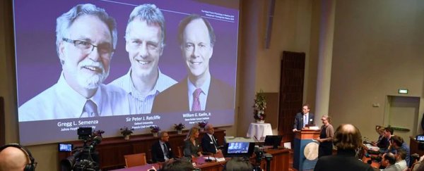Nobel Prize in Medicine Won For Profound Discovery of How Cells Sense Oxygen