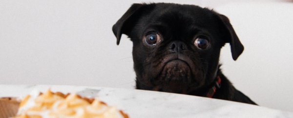 Here are 5 important questions to help you tell if health news can be trusted