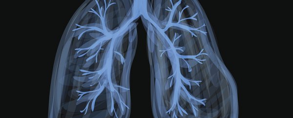 For The First Time, Scientists find Fat Can clog Lungs And Airways, Not Just Your Heart