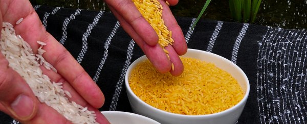 'Overzealous' regulation of GM crops costs children's lives worldwide, says new book