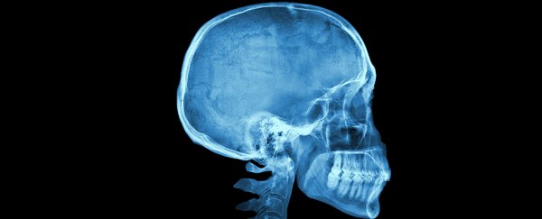 The golden ratio has been found in the human skull, but what does it mean?