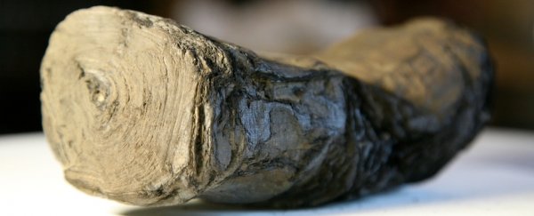 Scientists Are About to 'Unravel' Ancient Papyrus Scrolls Charred by Vesuvius
