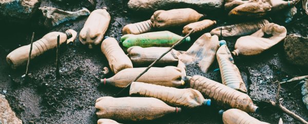 There's a genius, sustainable economic system we could all be using. Here's how