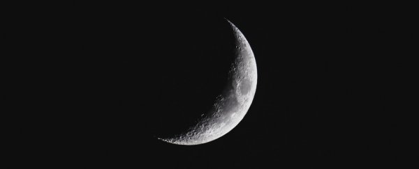 Elon Musk says there's a potentially major flaw in SpaceX's Moon base plans