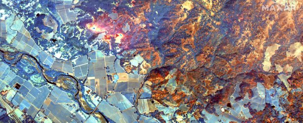 Photos from space reveal the true scale of the Kincade Fire's spread in California