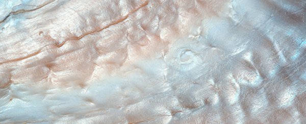 We might finally know why nacre is so incredibly tough
