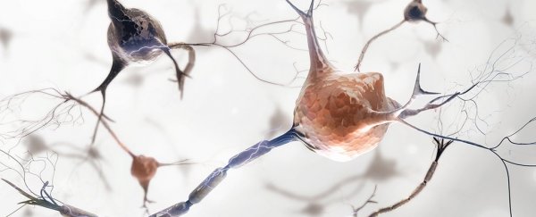 Scientists have located the physical source of anxiety in the brains of mice