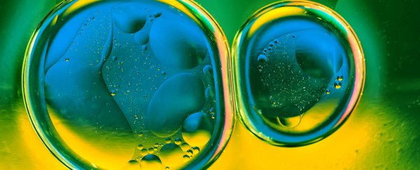 Scientists built an 'artificial leaf' that uses sunlight to produce clean synthetic fuel