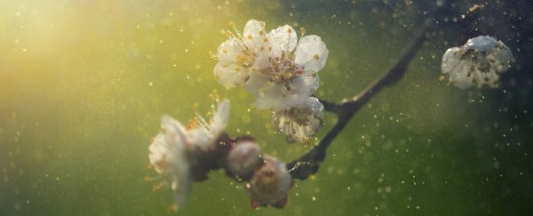 Violent crime rates go down when seasonal allergies peak in the US