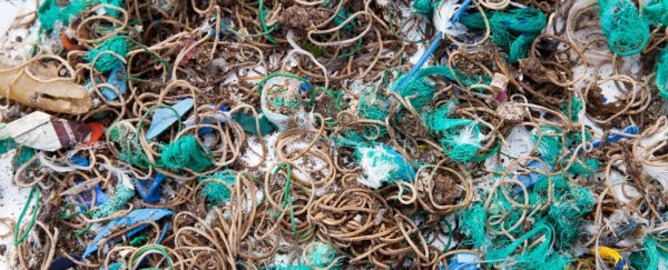 Here's why thousands of rubber bands turned up on a bird sanctuary island in the UK