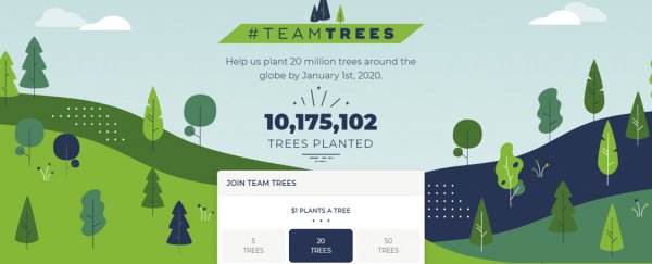Tree-planting campaign started on YouTube raises over $8 million in less than a week