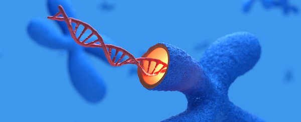 Scientists dramatically extend the lifespans of mice in a genius new telomere study
