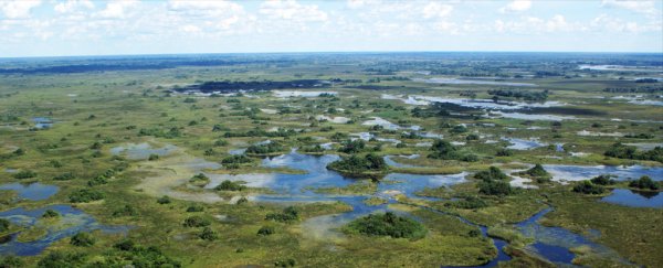 New study pinpoints the ancestral homeland of all humans alive today