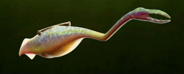 Scientists are arguing about the messed up 'Tully monster' all over again