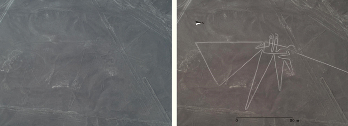 010 geoglifi di nazca 4