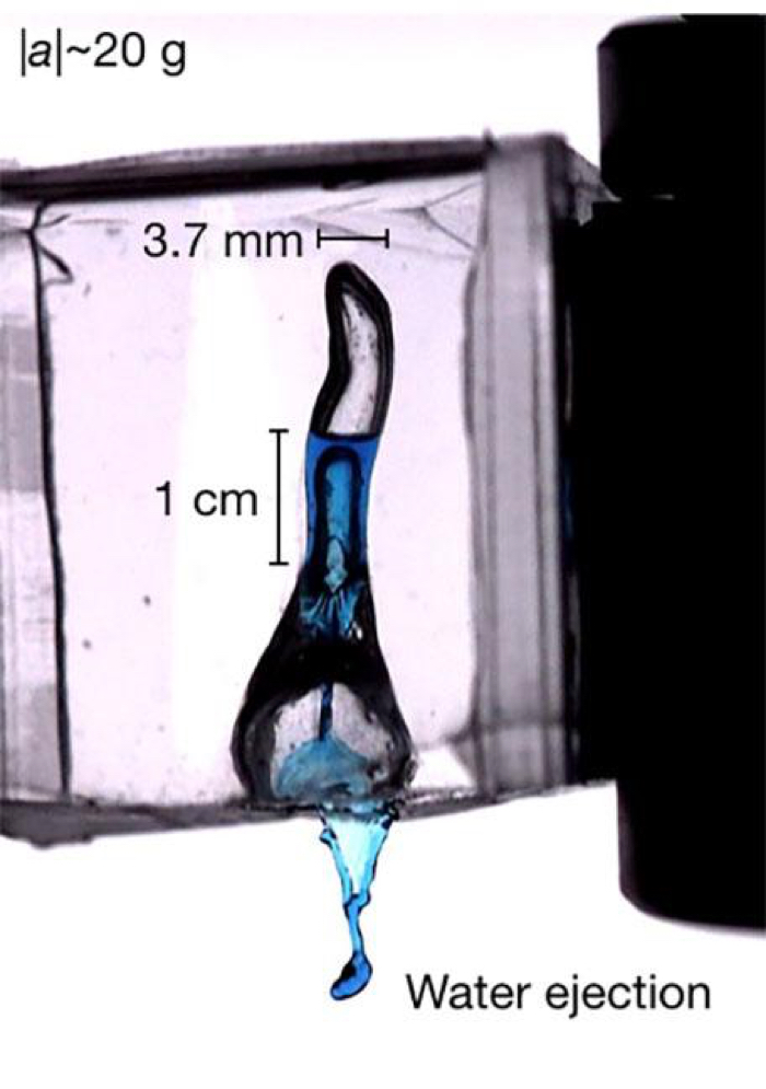 012 brain damage water 2