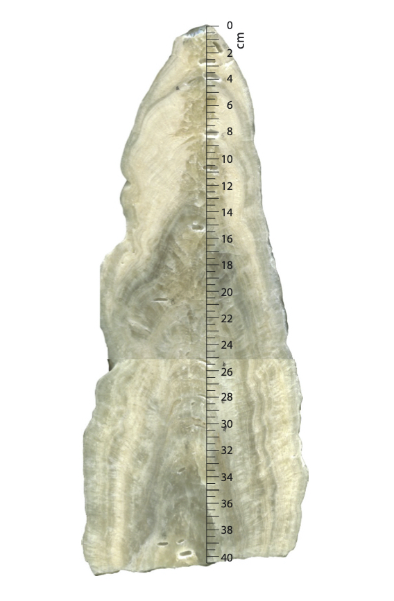 Layers of a stalagmite record the climate conditions of when they were created. (Ashish Sinha/CC BY-ND 4.0)