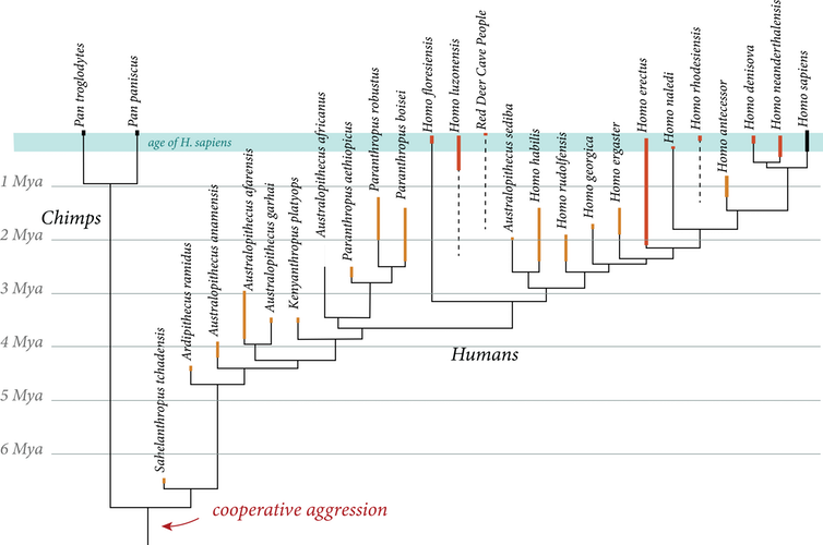 Evolução humana. (Nick Longrich)