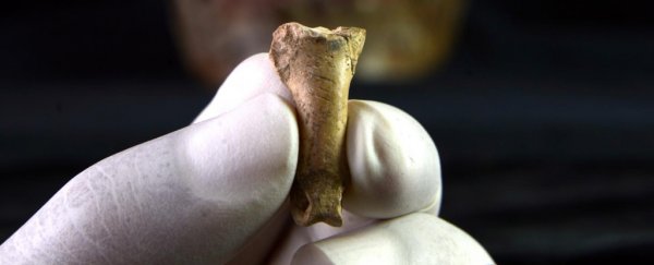The last of the Neanderthals carved this eagle talon into a powerful symbol