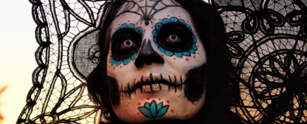 Here are 6 surprising facts about the human skeleton you probably don't know