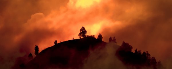 Tipping points that could unleash a planetary emergency are now active, scientists warn
