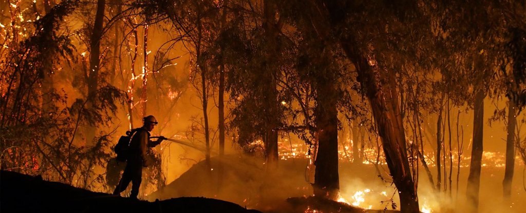 Maria Fire, California, 31 October 2019.