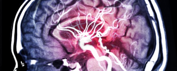 Science still can't explain consciousness, but that might soon change