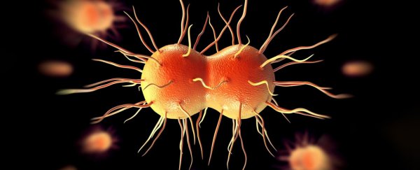 Major report says drug-resistant superbugs are already killing more people than feared