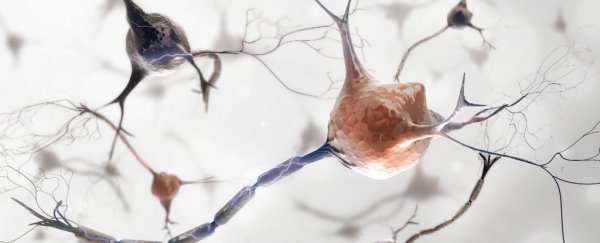 Individual Neurons Target Specific Memories When We Remember, Study Shows