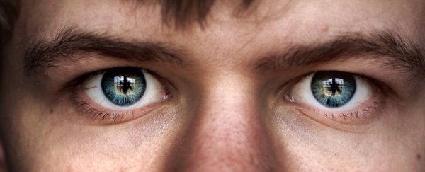 'Dopamine fasting' is Silicon Valley's latest trend. Here's what an expert has to say