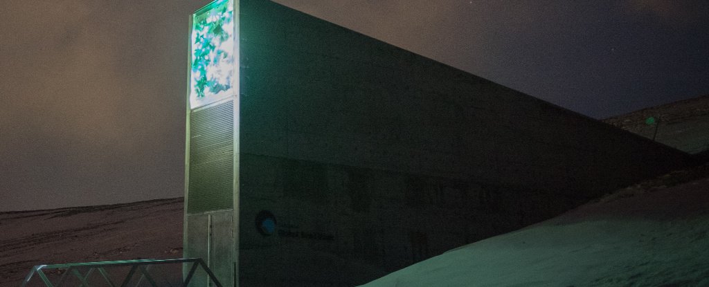 The Global Seed Vault in Svalbard. 