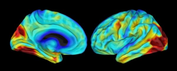 Scientists find exceptional woman who has somehow avoided her family's Alzheimer's fate
