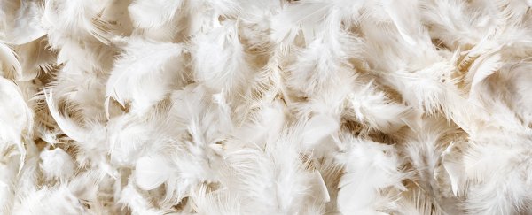 Man gets extremely sick from his feather bedding in scary medical case