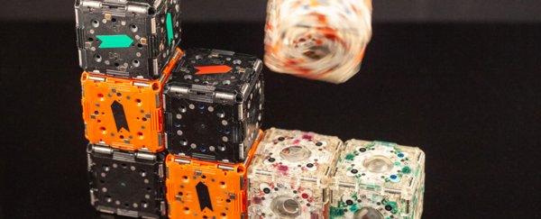 MIT researchers have created tiny cube robots that swarm together with a hive mind
