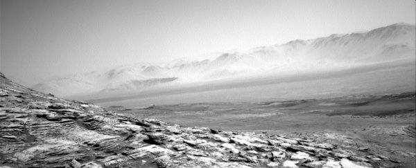 Curiosity has just sent back a bleak image of its lonely view on Mars