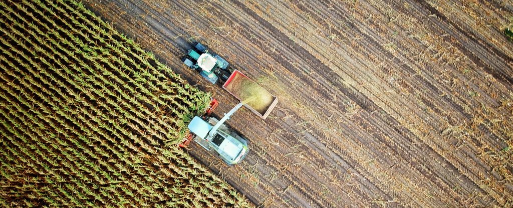 Scientists Have Detected a Rapid Spike of a Widely Overlooked Greenhouse Gas - ScienceAlert