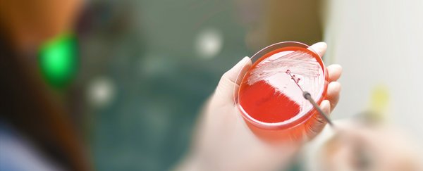 A fresh case of bubonic plague has now been confirmed by China